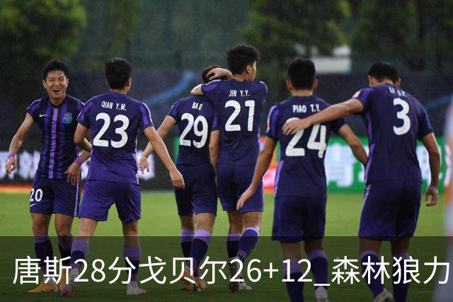 唐斯28分戈贝尔26+12 森林狼力克黄蜂4连胜